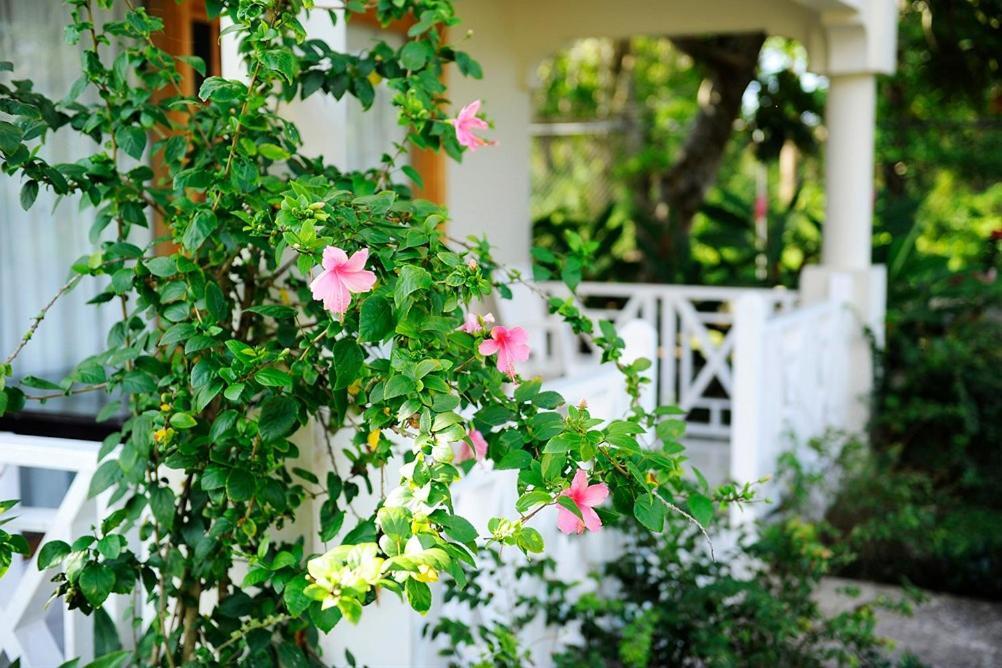 Coral Seas Beach Negril Exterior foto
